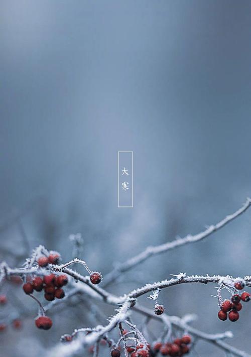 大寒祝福语——唯美短句