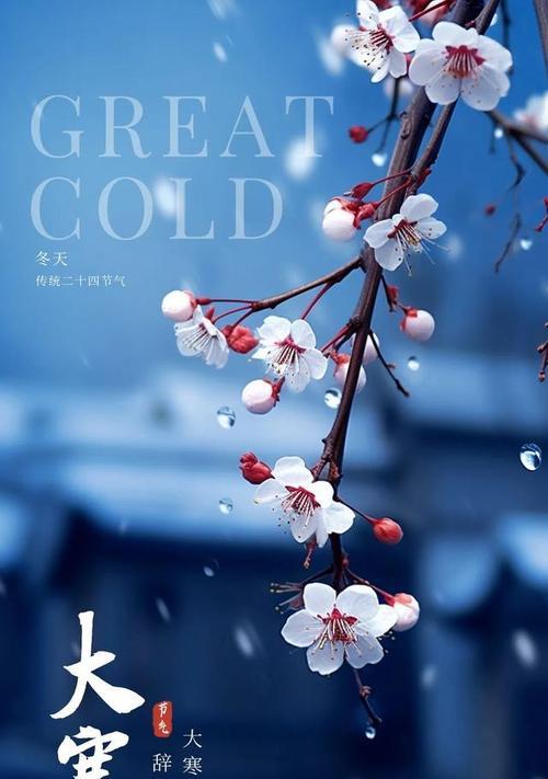 大寒祝福语——唯美短句