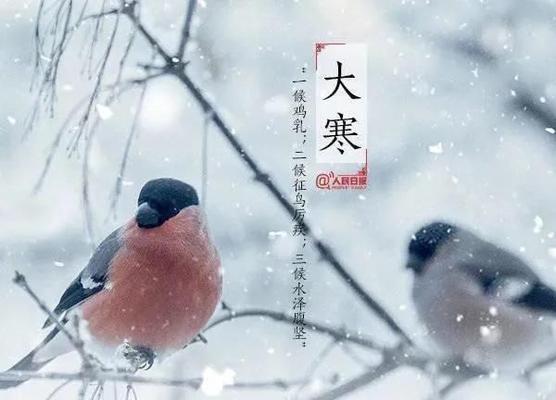 大寒唯美祝福语，温暖你的心灵（唤醒冬日的温度）