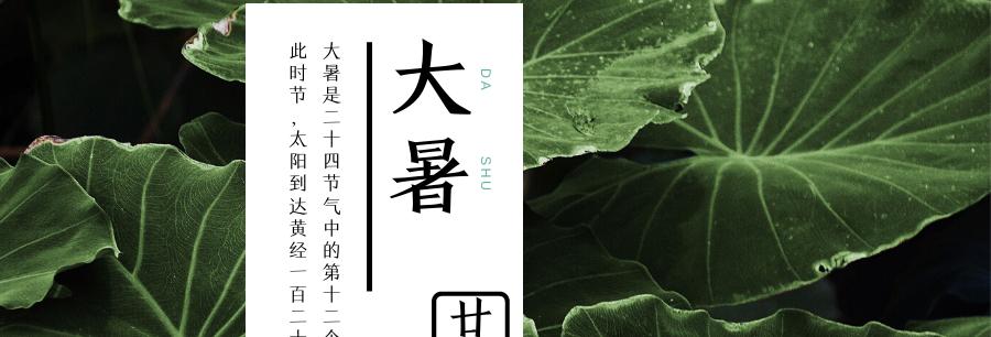醉美大暑（寻找心中的夏日仙境）