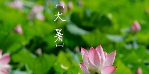 以大暑为主题的唯美句子分享（炎热的大暑）