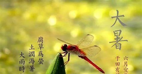 以大暑为主题的唯美句子分享（炎热的大暑）