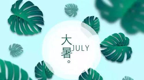 炎炎大暑，情暖心间（25句唯美好句）