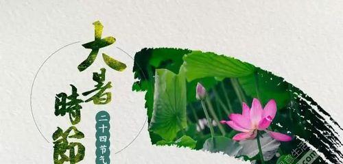 夏日好句，微信祝福——大暑篇（以句为短）