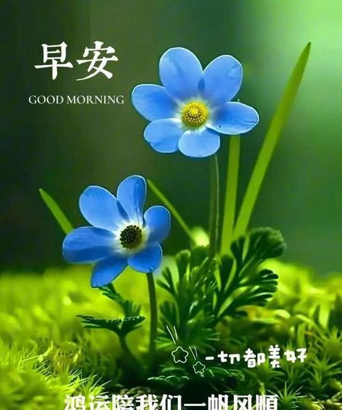 让每一句祝福都温暖你的心（让每一句祝福都温暖你的心）