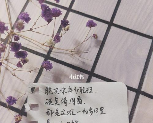 岁月静好，我们毕业了（大学生活结束了）