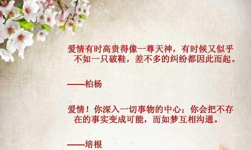 探寻爱情的真谛（探寻爱情的真谛）
