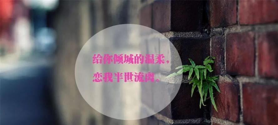 公司年会，别开生面