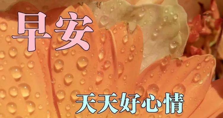 在清晨，我用一句句唯美的话语温暖你的心（25个让你的女友感受到你关爱的早安问候语）