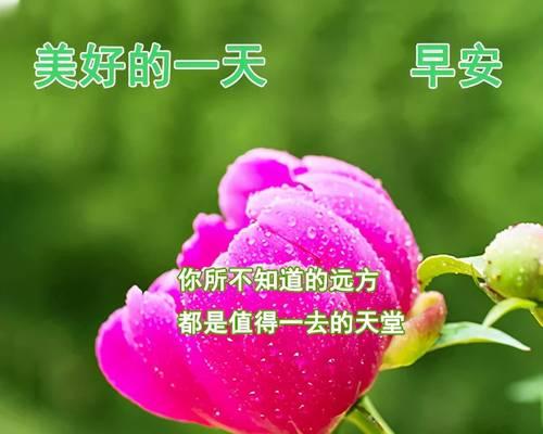 在清晨，我用一句句唯美的话语温暖你的心（25个让你的女友感受到你关爱的早安问候语）