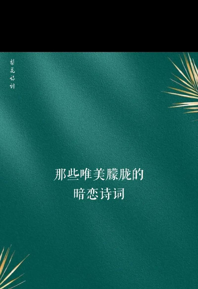 《抖音上的爱情》（短句表白）