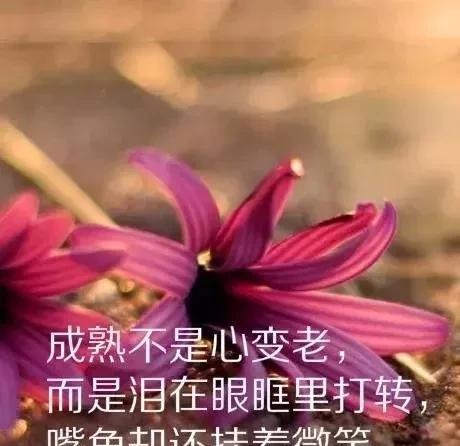 行走于人生路上的感悟（每个人都有自己的人生轨迹）