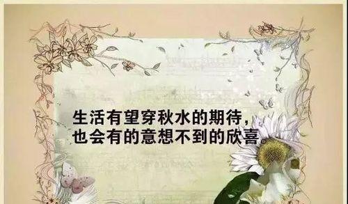 朋友圈感悟人生（走过人生路）