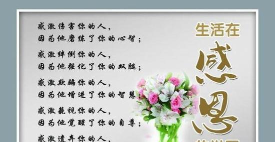 感恩节语录经典短句