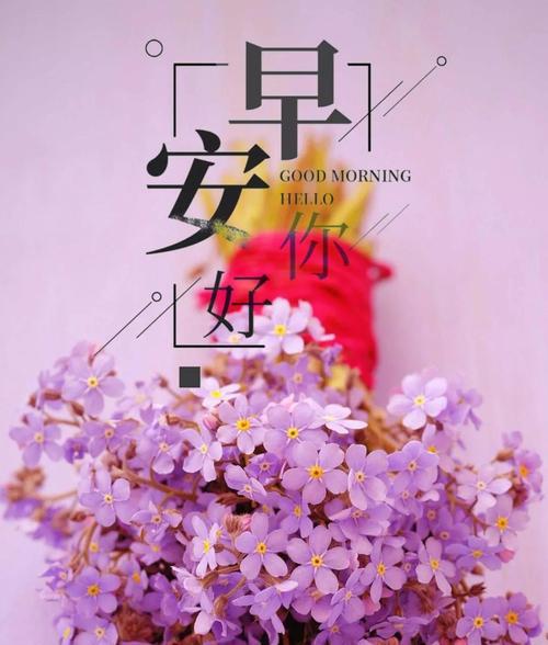 清晨，轻轻的一句话（感受每一个清晨）