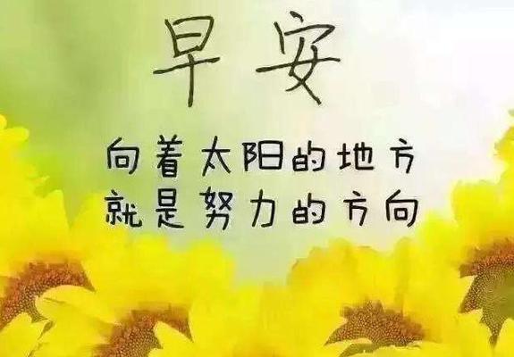 清晨，轻轻的一句话（感受每一个清晨）