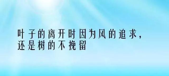 诗意盎然的春风（诗意盎然的春风）