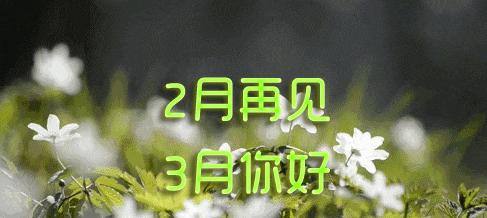 二月你好，春暖花开（写下朋友圈的美好）