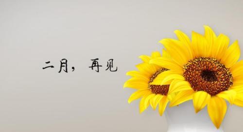 《相遇与告别》