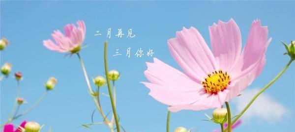 《相遇与告别》