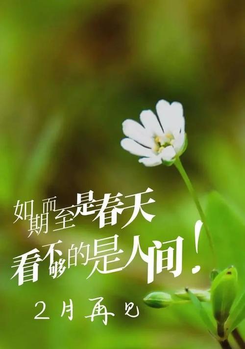 《相遇与告别》