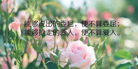 用精美的语句点亮你的朋友圈（用精美的语句点亮你的朋友圈）