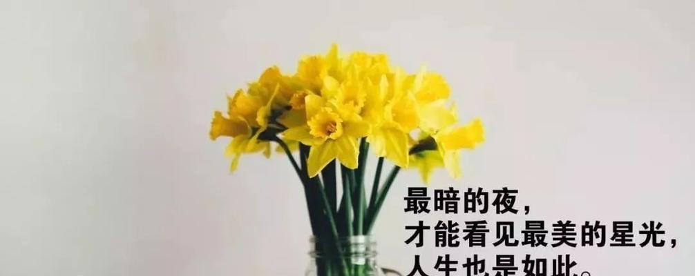 用精美的语句点亮你的朋友圈（用精美的语句点亮你的朋友圈）