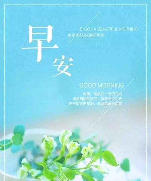 晨曦晖烂，一句早安温暖心间（以2024发朋友圈早安的句子汇总）