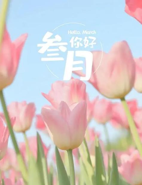 旅程（以2024年二月再见三月你好）