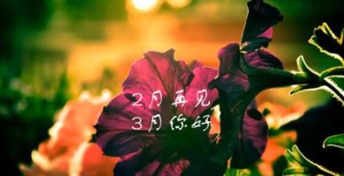 旅程（以2024年二月再见三月你好）