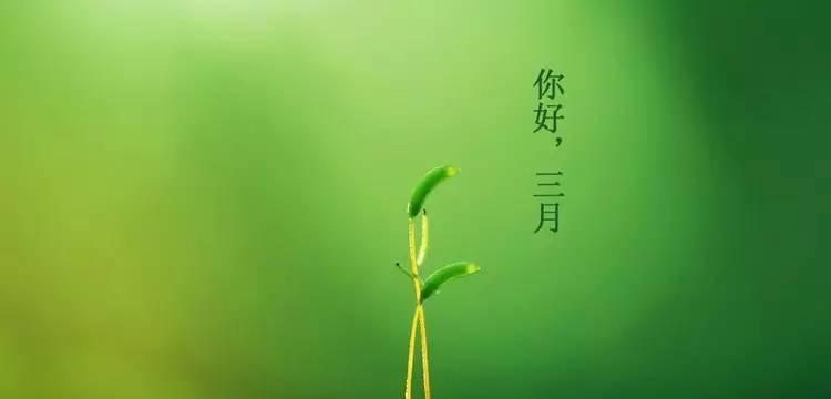 旅程（以2024年二月再见三月你好）