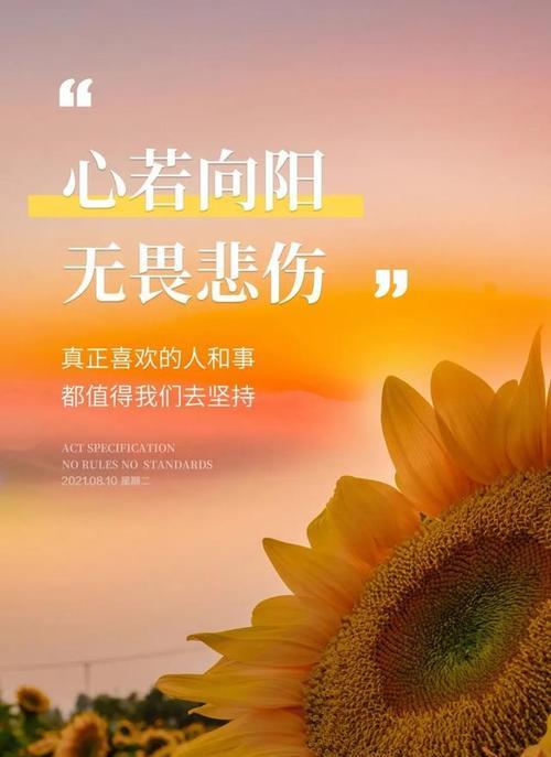 清晨日语，唤醒心灵（探寻抖音早安句子背后的故事）