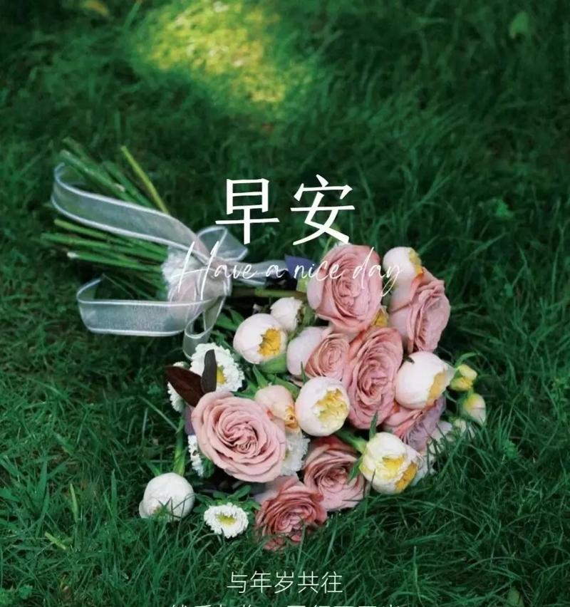 用唯美短句，为你送上一份清晨的温暖（用唯美短句）