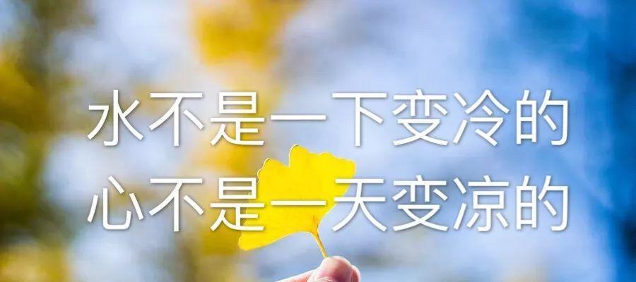 雨，浸润了我的心（探寻雨中的美）