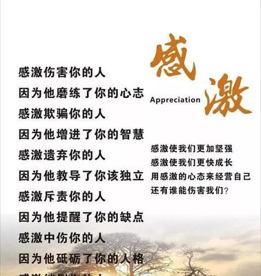 感恩之美：懂得感恩，让生命更美好