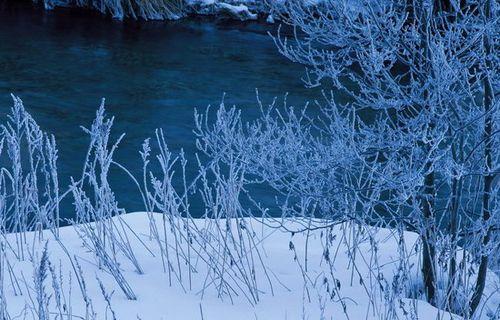 八、此刻的大地仿佛与世隔绝，只有雪花和寂静。