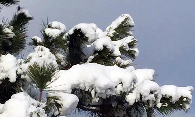 八、此刻的大地仿佛与世隔绝，只有雪花和寂静。