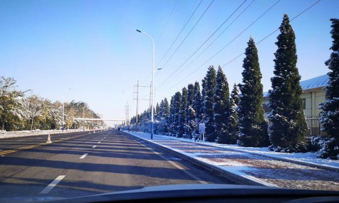 八、此刻的大地仿佛与世隔绝，只有雪花和寂静。