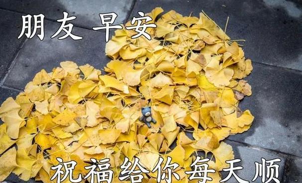 25句唯美祝福语送给你（25句唯美祝福语送给你）