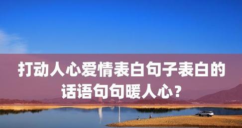 《打动心扉的爱情表白》