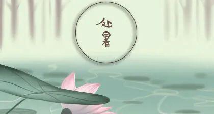 《欢颜迎处暑，淡雅过盛夏》