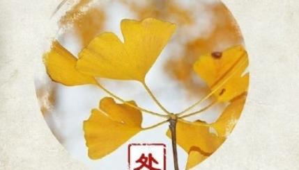 处暑快乐——回忆夏日美好