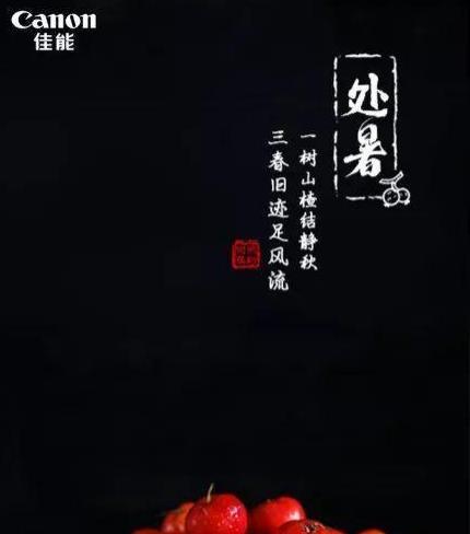 处暑快乐——回忆夏日美好
