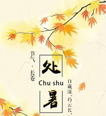处暑，寒意渐浓（红叶飞舞）