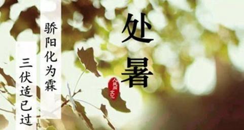 千姿百态的处暑风光（千姿百态的处暑风光）