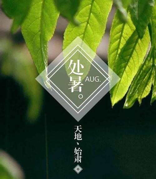 千姿百态的处暑风光（千姿百态的处暑风光）