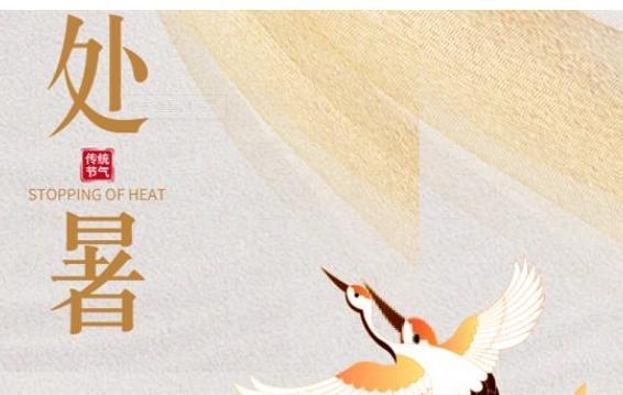 追忆梦中的夏日，让时间静止（追忆梦中的夏日）