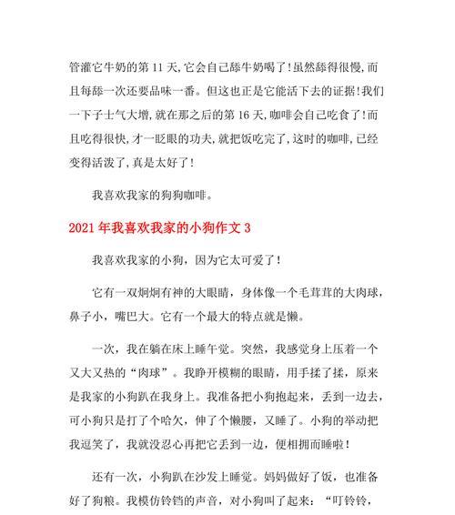 MyLittleFriend：与小狗的幸福时光