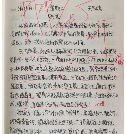 钓鱼记——一场忘我沉浸的心灵独白
