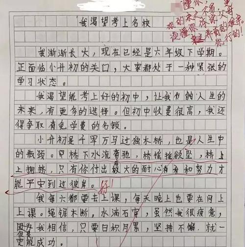 小学生的故事（天真无邪的童年趣事）